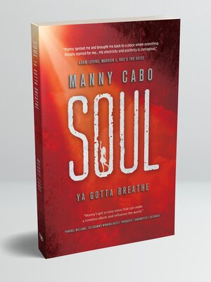 cover image of SOUL